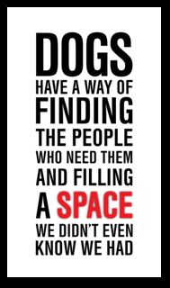 Dogs have a way...