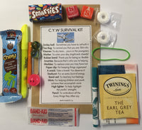 Child and Youth Worker Survival Kit