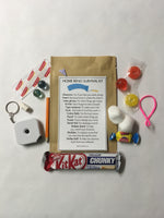 Renovation Survival Kit