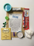 New Job Survival Kit