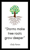 Storms make tree roots grow deeper