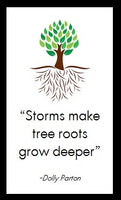 Storms make tree roots grow deeper